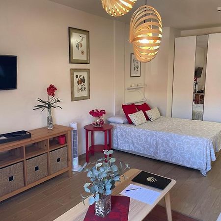 Apartamento Acogedor Y Centrico - Plaza Del Charco 푸에르토 드 라 크루즈 외부 사진